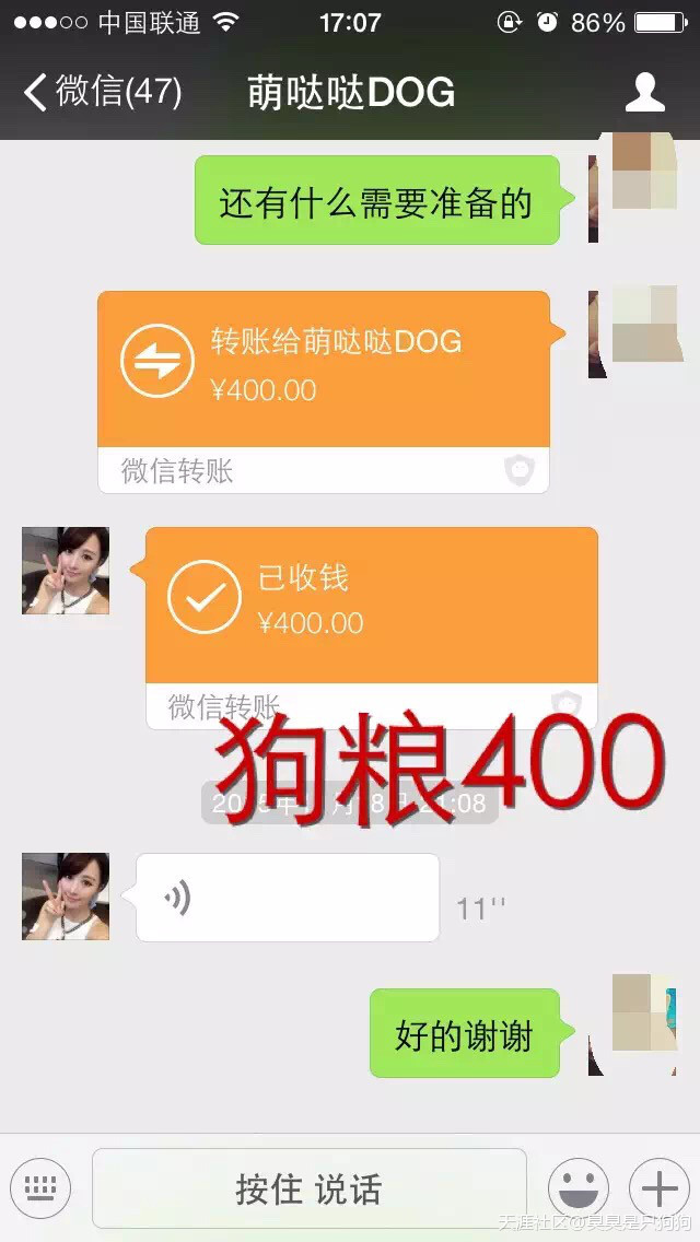 扒一扒我在网上买狗被骗的经历<strongalt=
