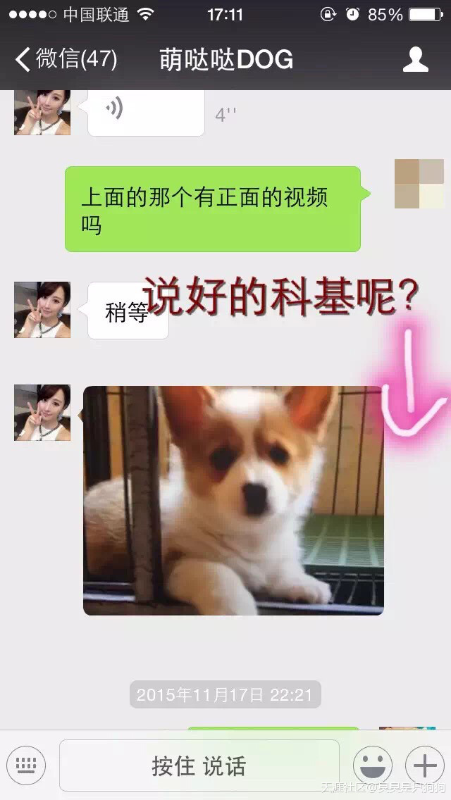 扒一扒我在网上买狗被骗的经历<strongalt=