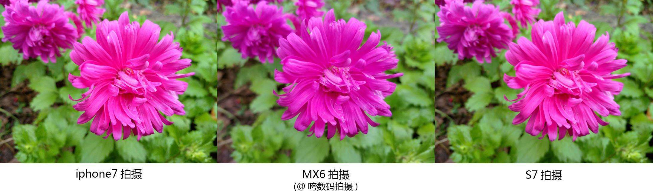 苹果手机拍照提高像素苹果手机拍照模糊怎么调整