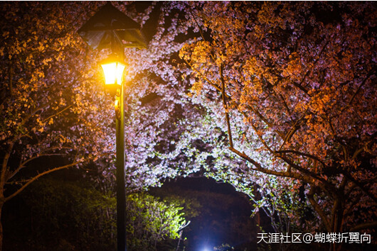 华为手机相机光圈怎么调
:“宋仲基”喊你来凤凰湖拍光绘涂鸦大片<strongalt=
