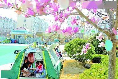 苹果版手机直播助手
:观点丨电子书未来何去何从