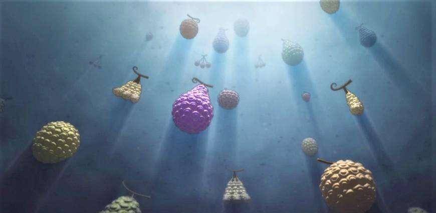 未公开版的苹果
:海贼王：未公开的实力牛逼的果实能力！