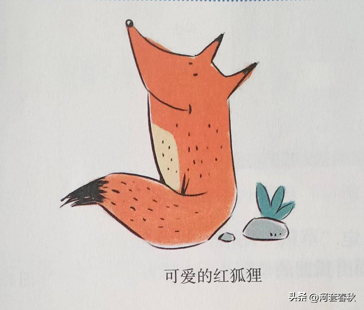 苹果的图标可爱版
:孩子学画教程：用画时画王画“可爱的红狐狸”内教版信息技术