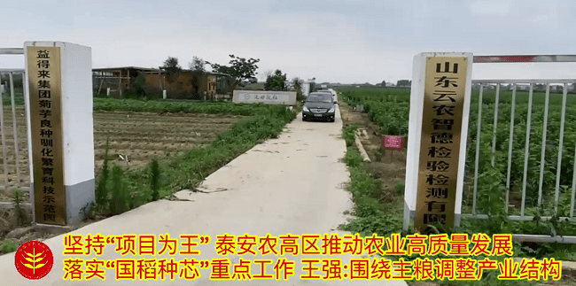 手机报网:践农高区重点工程 何登骥：国稻种芯粮农（泰安）科技产业园-第4张图片-亚星国际官网