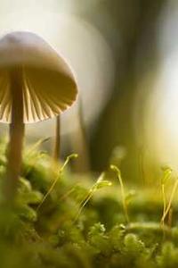 苹果版测量高度app-第2张图片-亚星国际官网 苹果版测量高度app-第2张图片-亚星国际官网