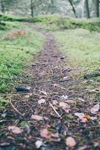 苹果att和S版