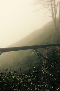 铁骑江山ios苹果版-第2张图片-亚星国际官网 铁骑江山ios苹果版-第2张图片-亚星国际官网