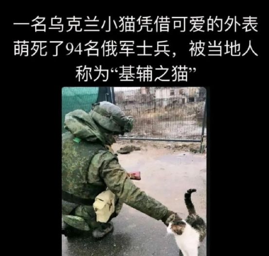 关于沙雕新闻网站推荐下载苹果的信息-第1张图片-亚星国际官网