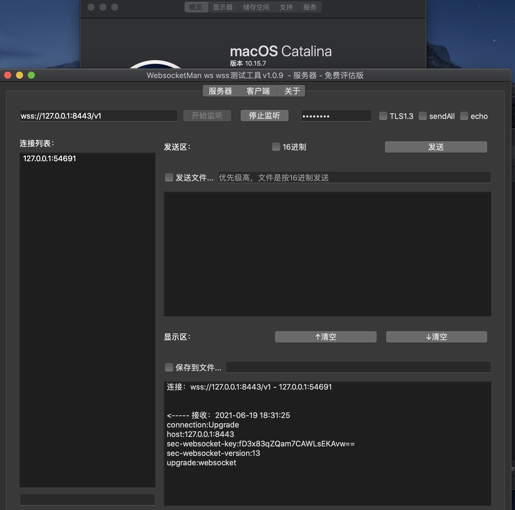 js客户端检测jswebsocket服务端-第1张图片-亚星国际官网