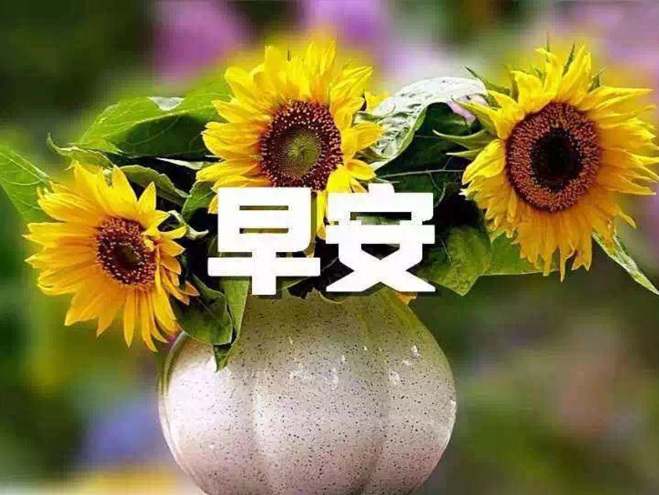 苹果早安自动播新闻吗怎么关iphone设置早上定时播新闻-第2张图片-亚星国际官网