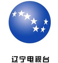 辽宁卫视客户端下载辽宁卫视电视台-第2张图片-亚星国际官网