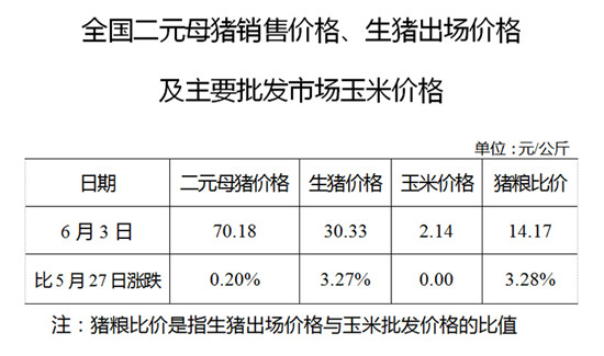 中国养猪网-手机版中国养猪网今日猪价网平台-第1张图片-亚星国际官网