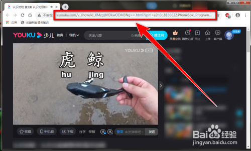 优酷客户端运行优酷网页版官网入口-第2张图片-亚星国际官网