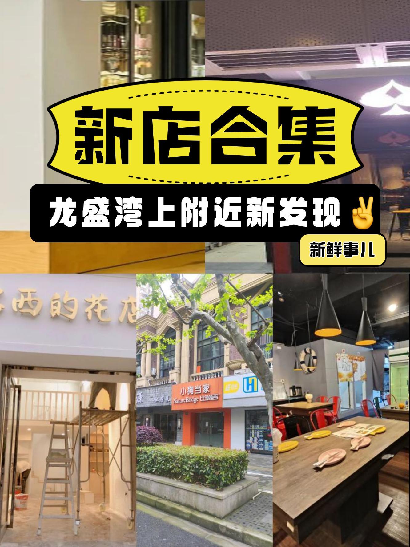 关于龙的天堂电影下载手机版的信息-第2张图片-亚星国际官网
