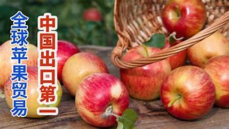 齐拉拉苹果版光荣时代齐拉拉真实身份