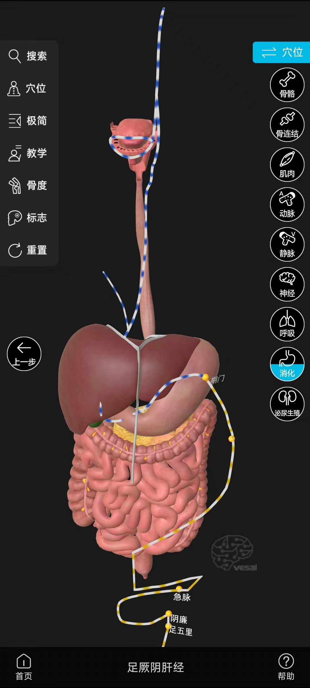 人体解剖手机版3d解剖人体解剖app-第1张图片-亚星国际官网