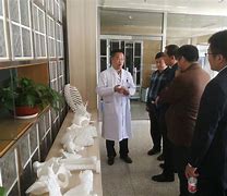 工口医3d手机版下载的简单介绍-第2张图片-亚星国际官网