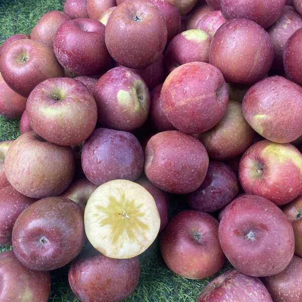 彝族版小苹果(云南邂逅彝族少年)-第4张图片-QuickQ官网