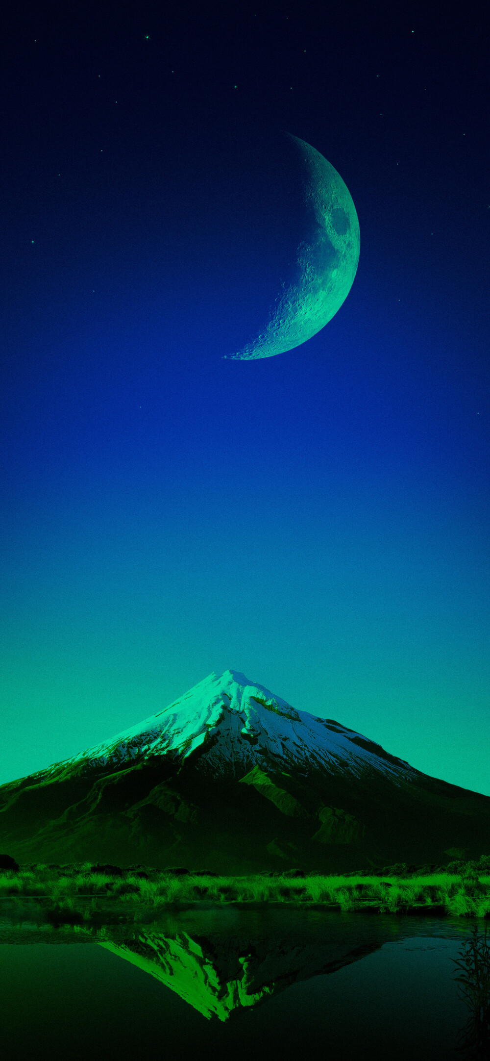 去月球安卓手机版(去月球安卓内购破解版下载)-第4张图片-QuickQ官网