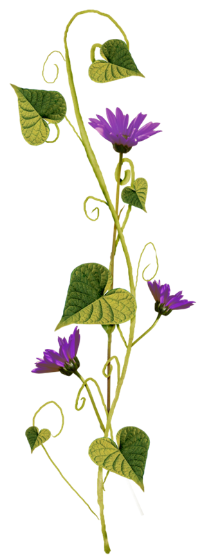 pstouch手机版教程扣图(photoshop手机抠图步骤)