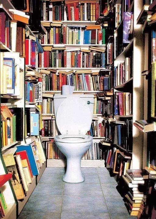 厕所版苹果型(苹果卫生间做视频)-第5张图片-QuickQ官网