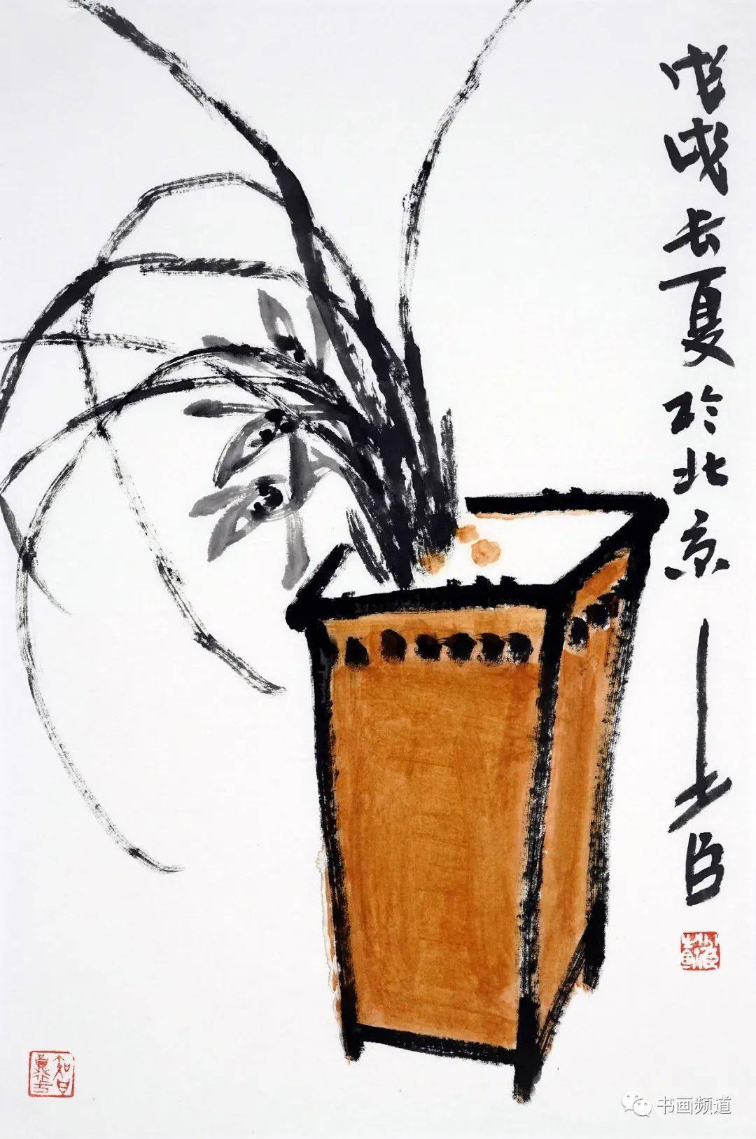 手机版书画频道直播(书画频道直播节目app)