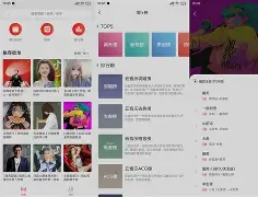 酷狗音乐简洁版安卓手机(安卓酷狗音乐精简版纯净版)