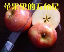 西班牙版苹果5移动版(ios手游西班牙iphone畅销榜七麦)-第3张图片-QuickQ官网