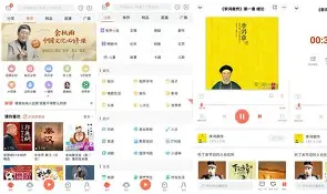 网页版荔枝fm手机版(荔枝fm手机网页版登录)