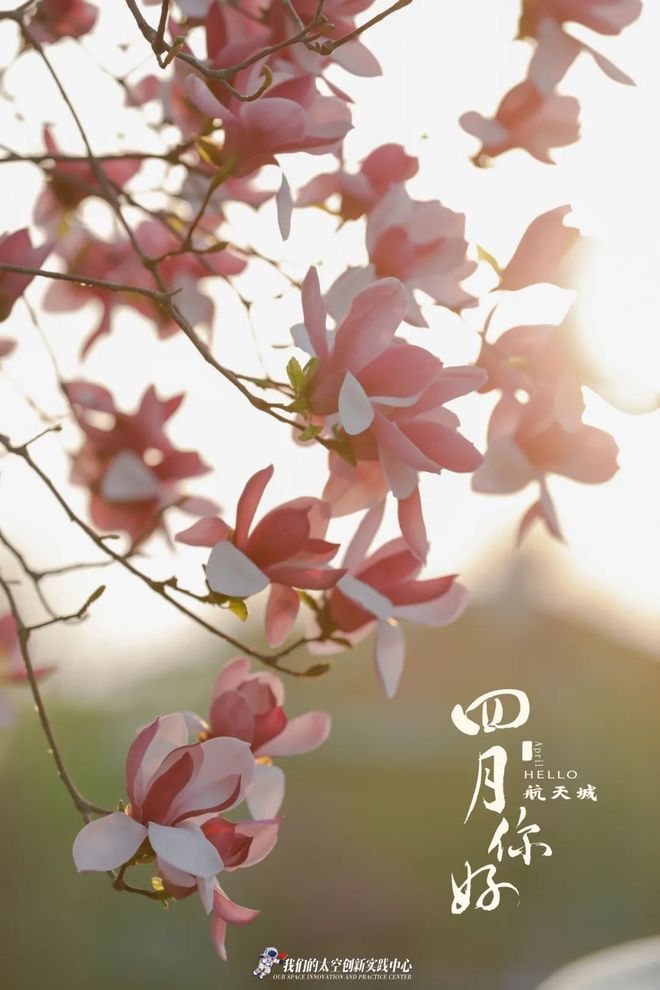 温暖的城壁纸手机版(温暖壁纸唯美图片手机)