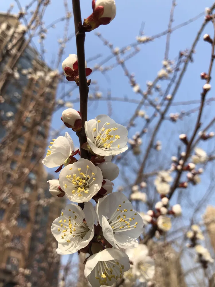 温暖的城壁纸手机版(温暖壁纸唯美图片手机)-第4张图片-QuickQ官网